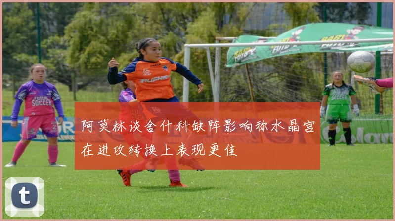 阿莫林谈舍什科缺阵影响称水晶宫在进攻转换上表现更佳
