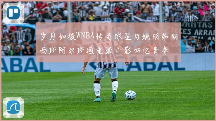 岁月如梭WNBA传奇球星与姚明弗朗西斯阿尔斯通重聚合影回忆青春