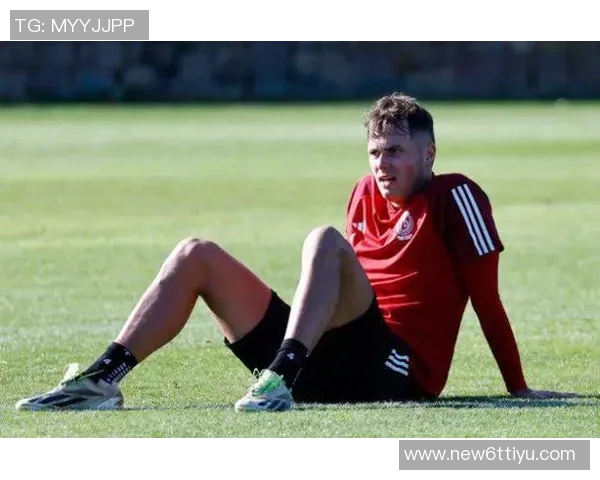 国米旧将范赫斯登因膝盖韧带重伤宣布退役年仅26岁